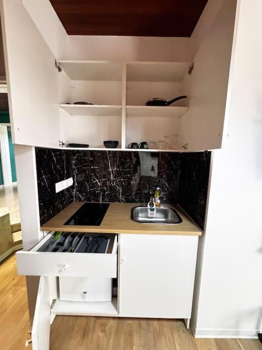 Modern N1 Private Kitchenette And Bathroom Apartament