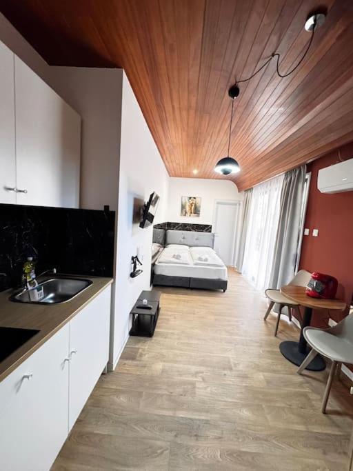 Modern N1 Private Kitchenette And Bathroom Apartament
