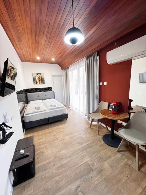 Apartament Modern N1 Private Kitchenette And Bathroom *
